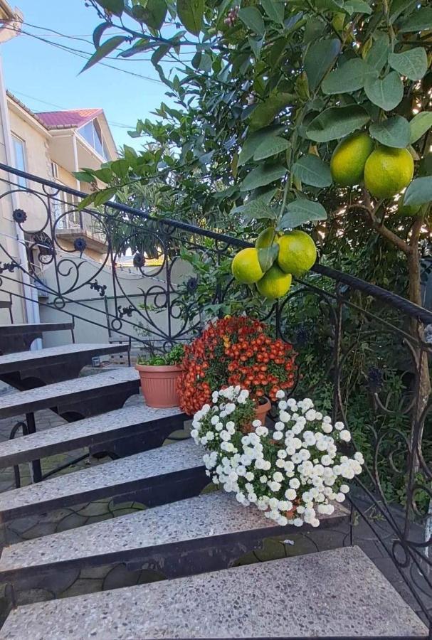 מלון קוטאיסי House On Ganja Street מראה חיצוני תמונה